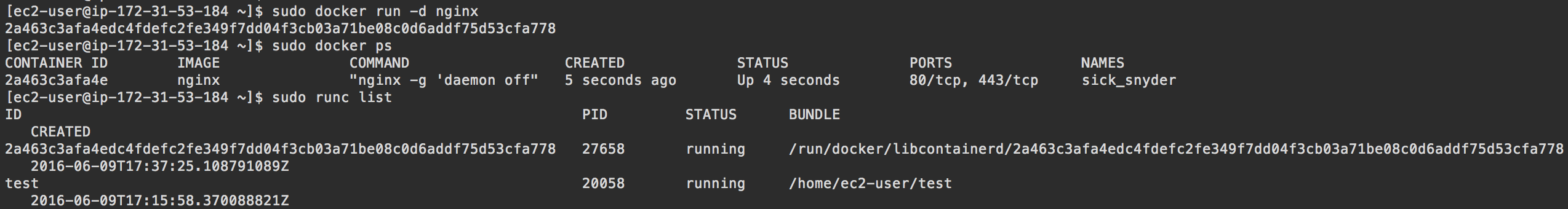 Comparing Docker to Runc